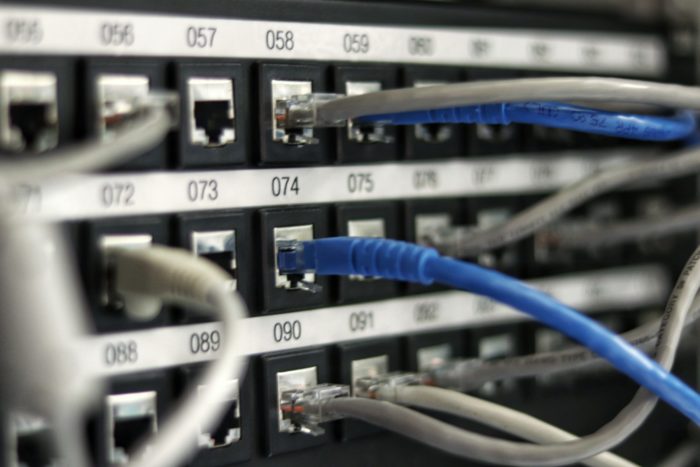 An image showing network cables in a patch panel